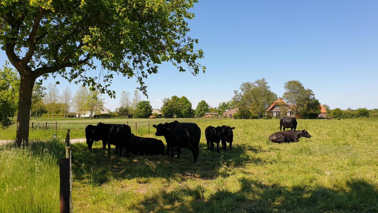 B&B De Scherpenhof Leur Exterior foto